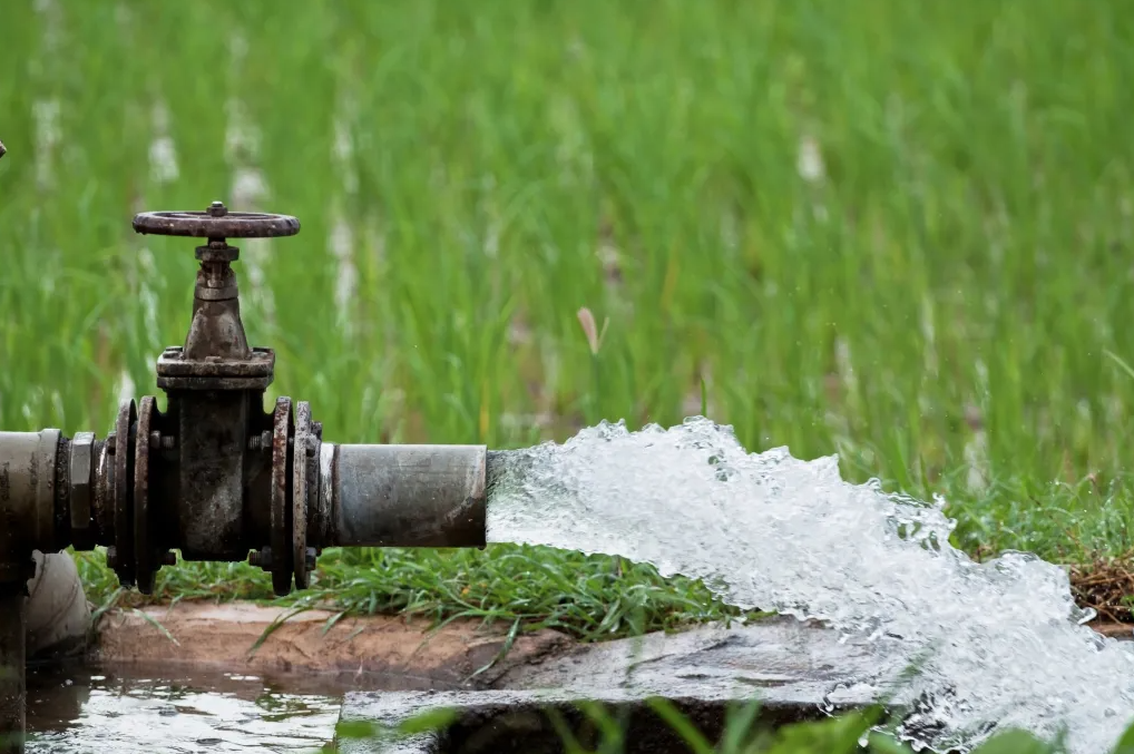 ecosolve water in use to flood a rice field