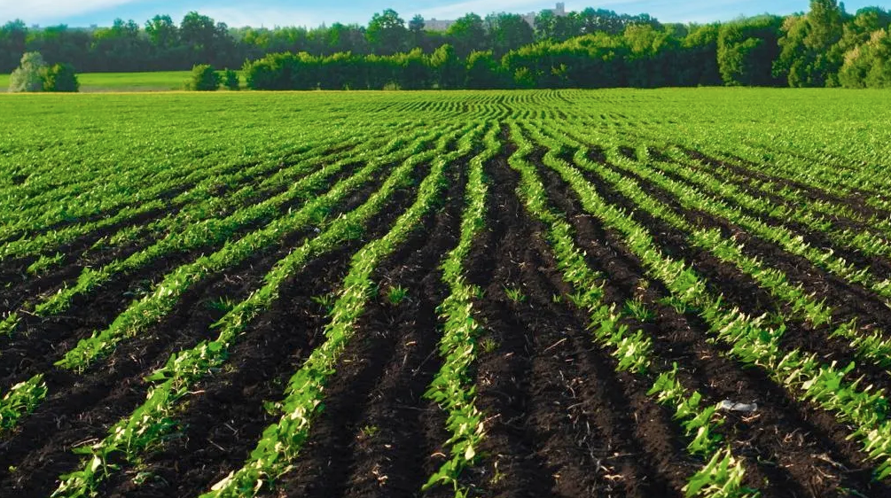 ecoagra industry benefits for plant growers