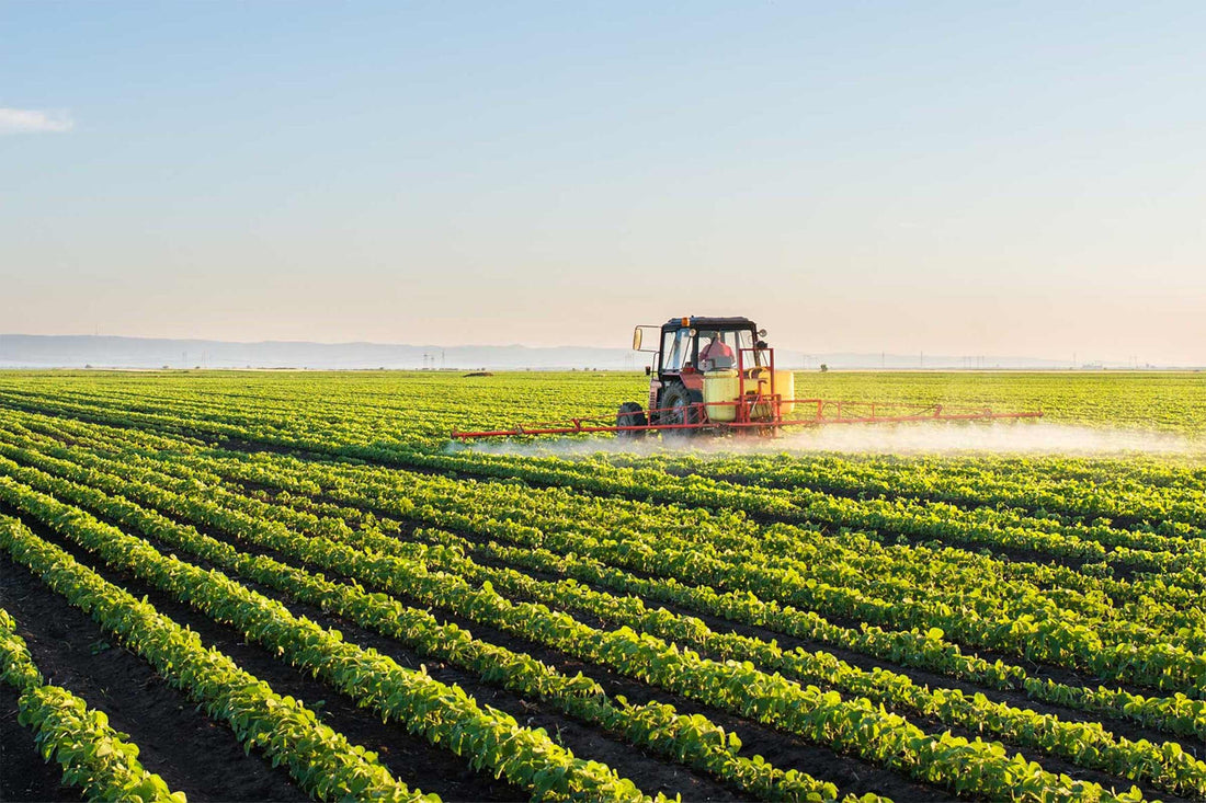 Faster Growth, Higher Yields: EcoAgra™ for Commercial Vegetable Growers