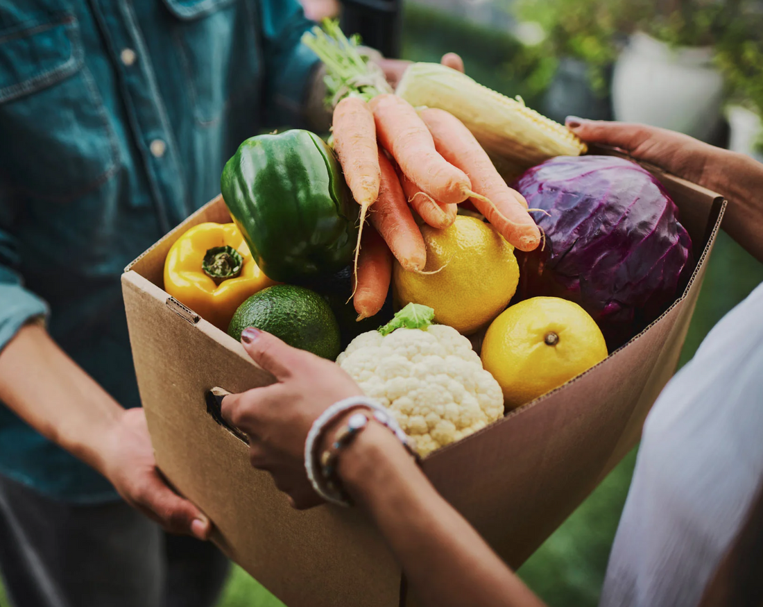 How CSA Farms Boost Output Naturally with EcoAgra™