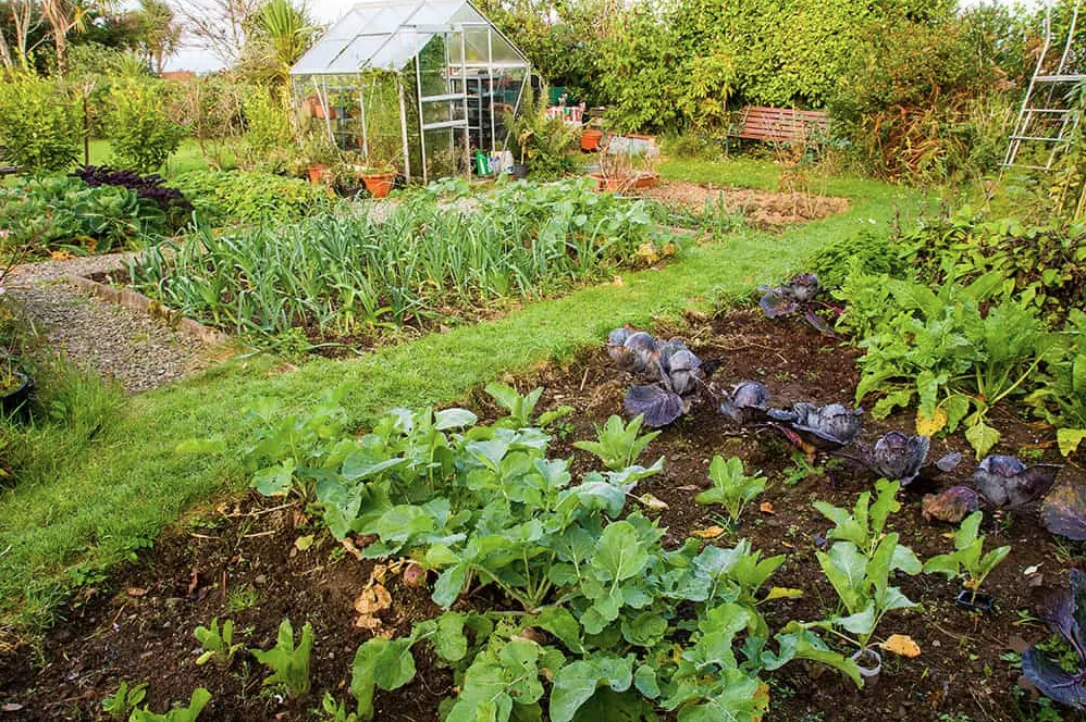 Grow More Organically: Natural Yield for Small Farms With EcoAgra™